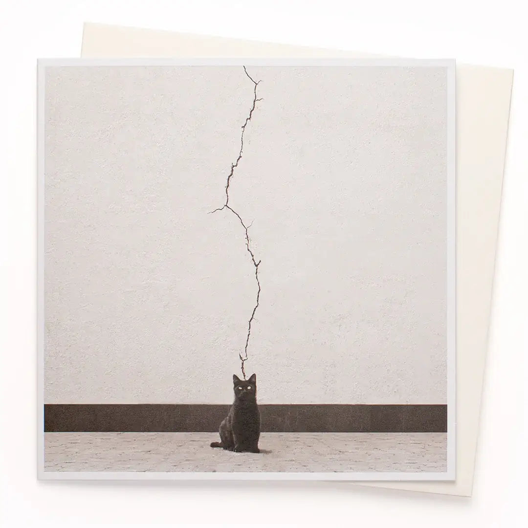 And Behold, Cat Card