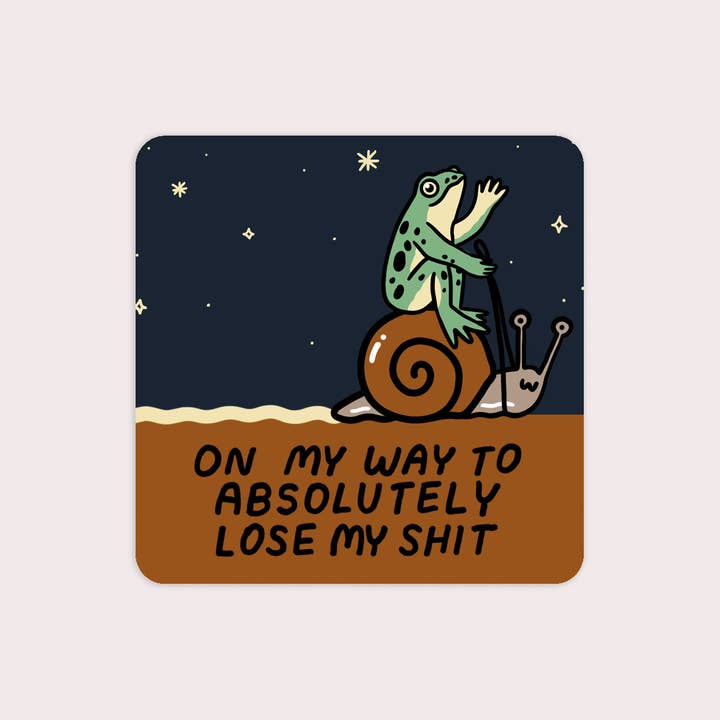S101 Lose My Shit Waterproof Vinyl Sticker