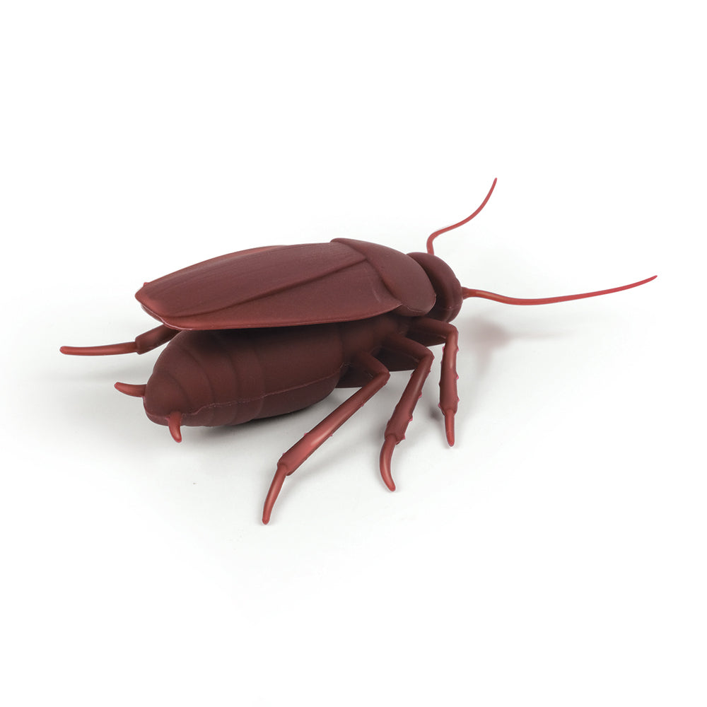 Cockroach Roach Bottle Stopper