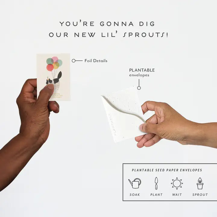 Birthday Kitty Sprout Mini Greeting Card