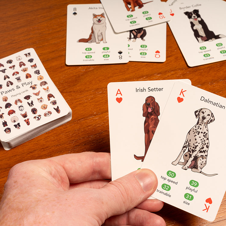 Paws + Play Playing Cards