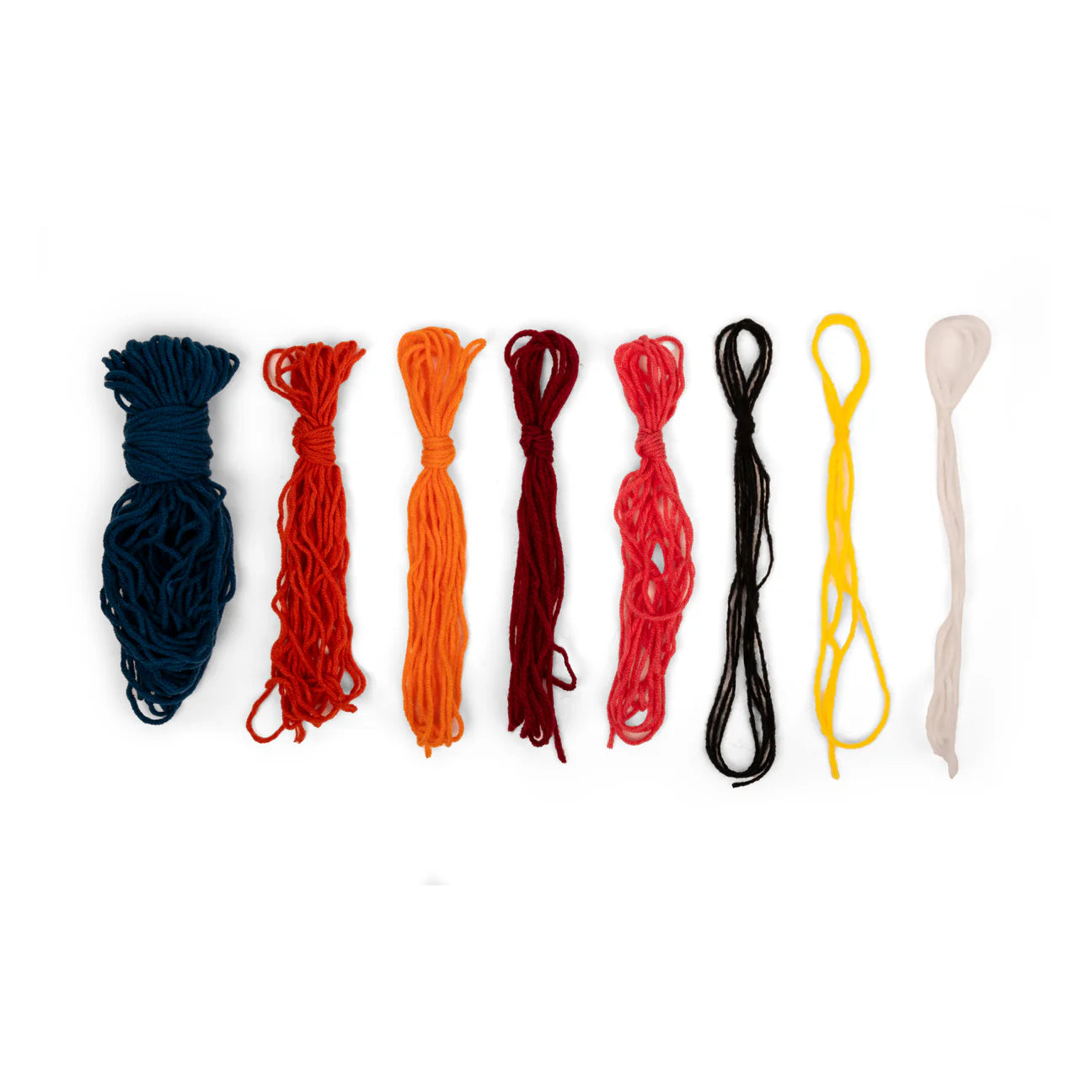 Punch Needle Kit Bird