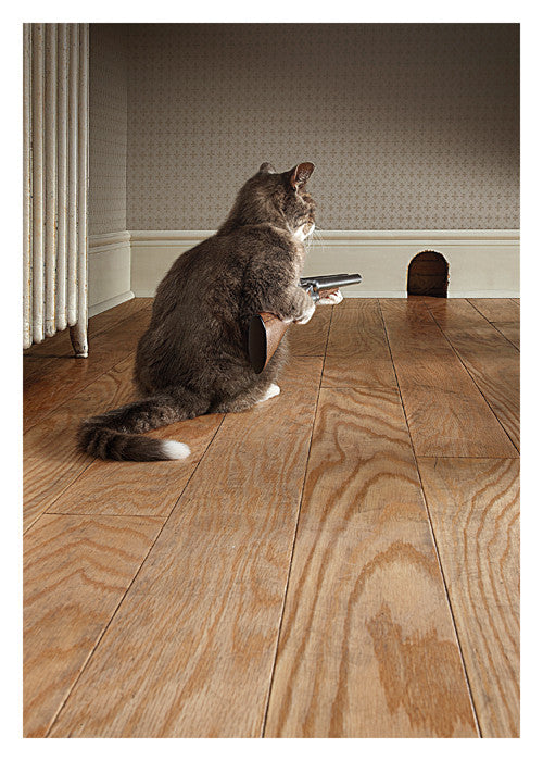 Cat With Shotgun Birthday Card