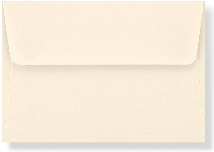 Ladybug Thank You Boxed Cards