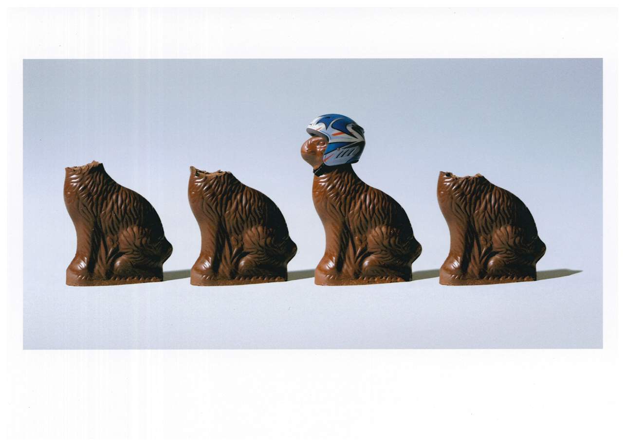 Chocolate Bunnies Birthday Card