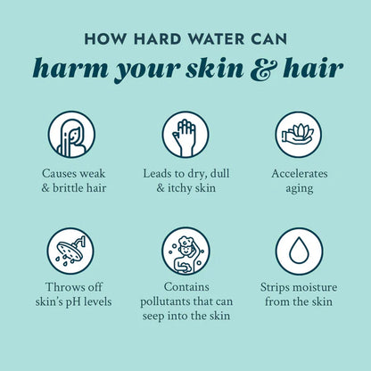 Vitamin C Shower Filter