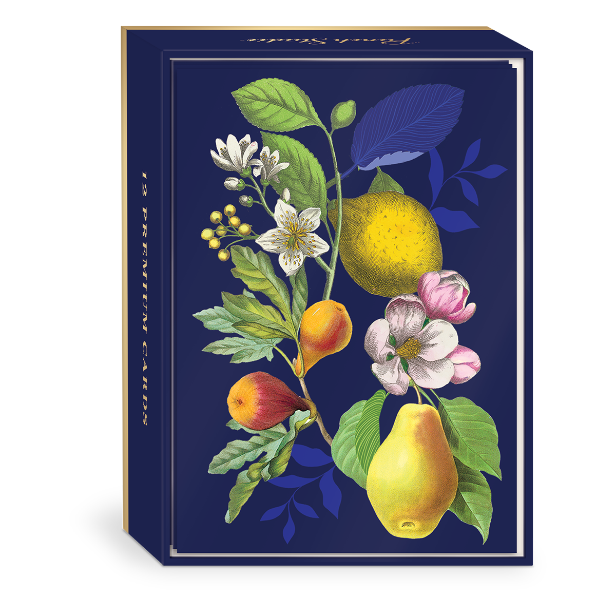 Vintage Floral Fruit Blank Boxed Note Cards