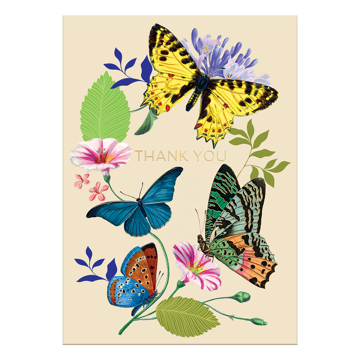 Thank You Butterflies Greeting Card