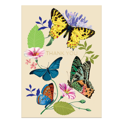 Thank You Butterflies Greeting Card