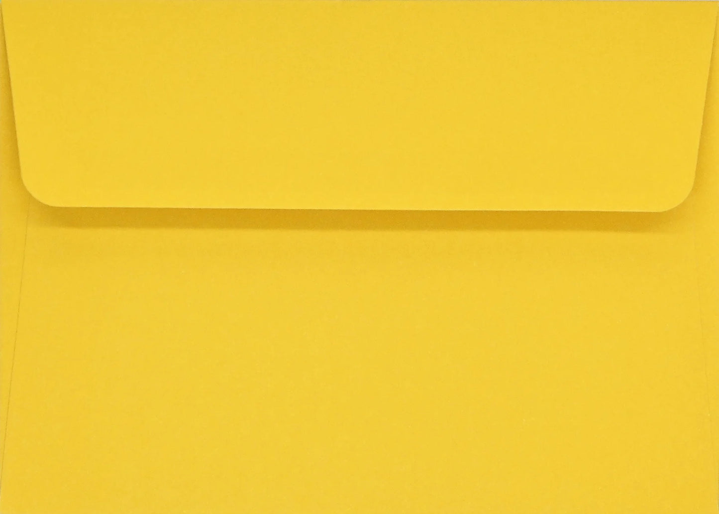 Sunflower Dreams Blank Boxed Cards