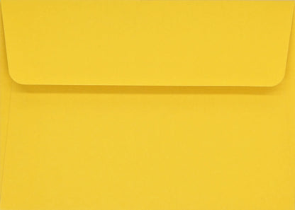 Sunflower Dreams Blank Boxed Cards