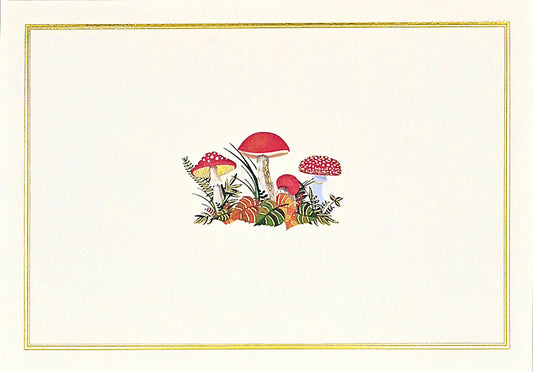 Mushrooms Blank Boxed Note Cards