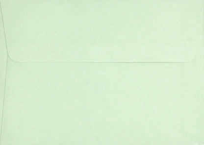 Eucalyptus Thank You Boxed Note Cards