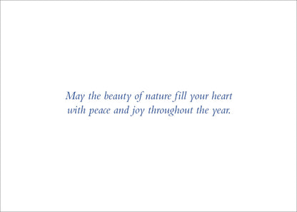 Watercolour Dove Holiday Deluxe Boxed Cards