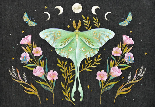 Luna Moth Blank Boxed Cards