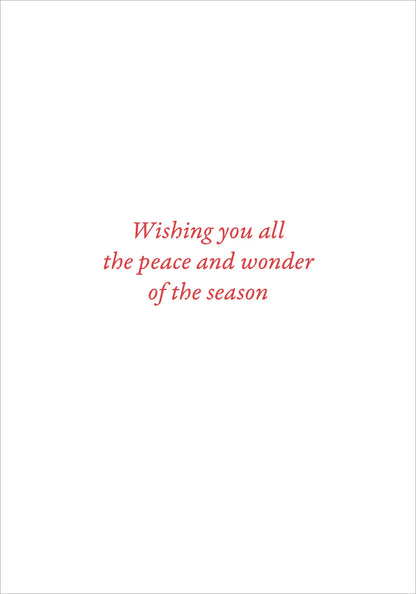 English Robins in Snow Small Boxed Holiday Cards