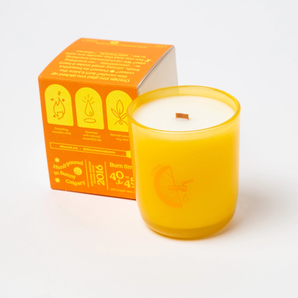 Citrus Coconut Soy 8oz Candle