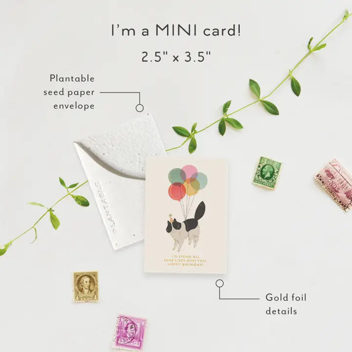 Birthday Kitty Sprout Mini Greeting Card