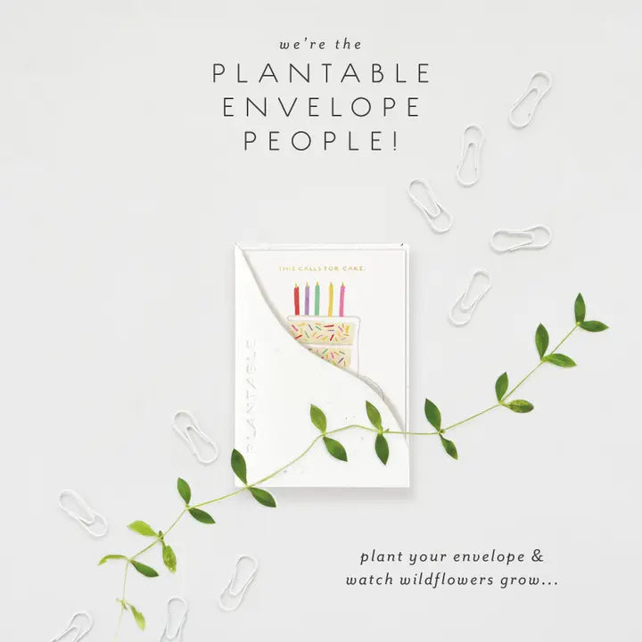 Birthday Slice Sprout Mini Greeting Card