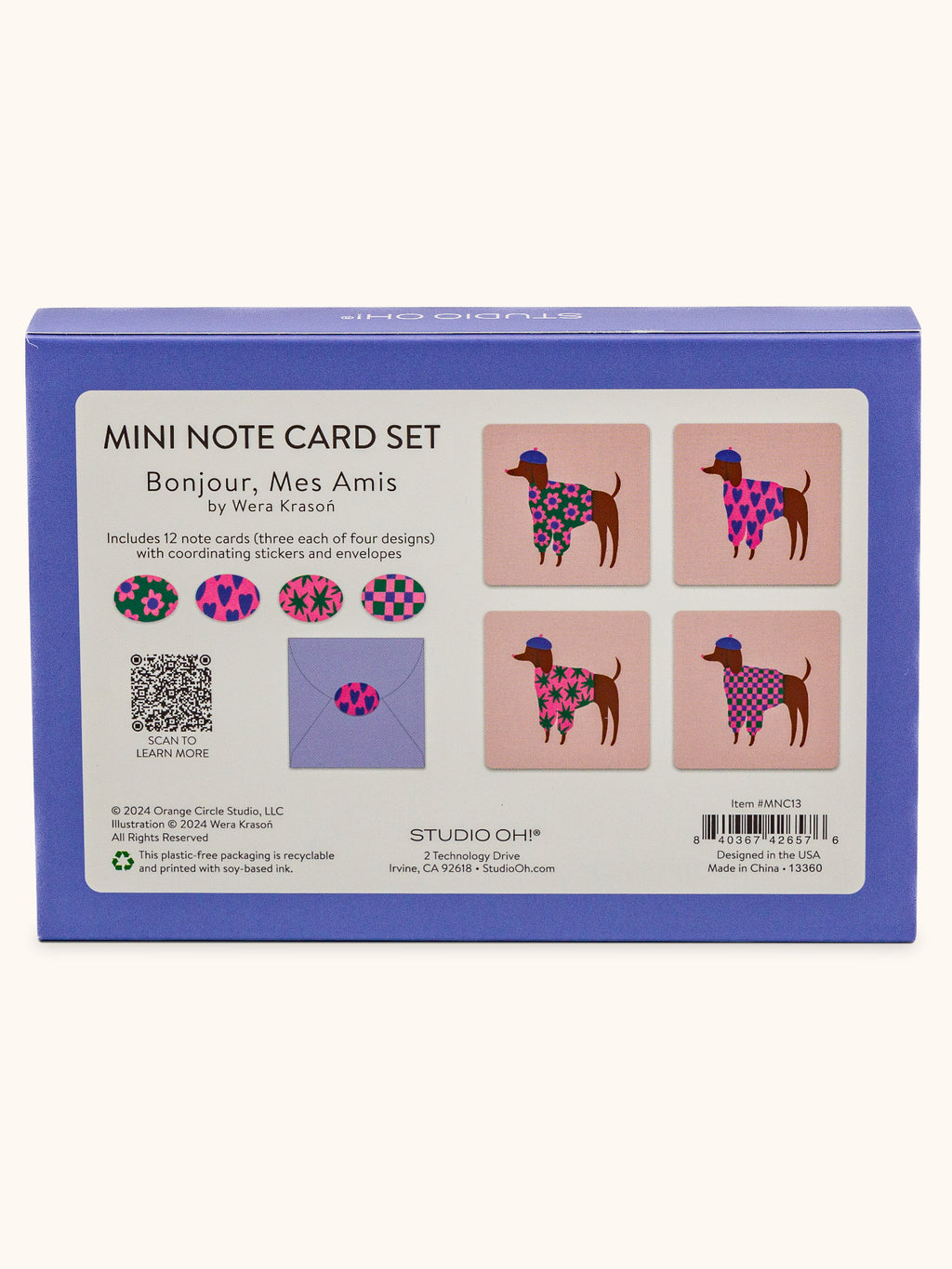 Bonjour, Mes Amis Mini Note Card Set with Stickers