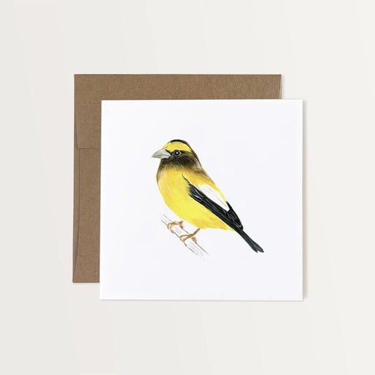 Evening Grosbeak Art Card
