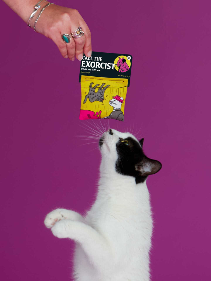 Catnip Call The Exorcist