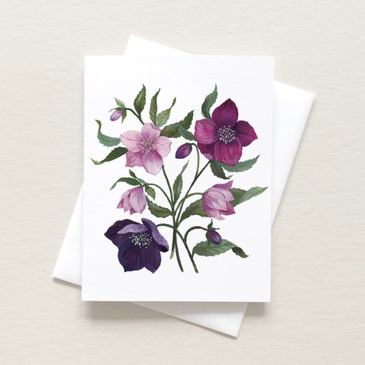 Hellebores Art Card
