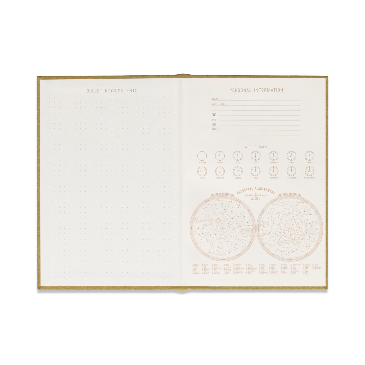 Radiant Journal Avocado