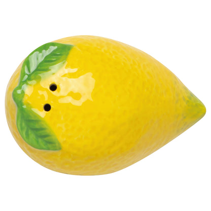 Citrus Burst Salt and Pepper Shakers