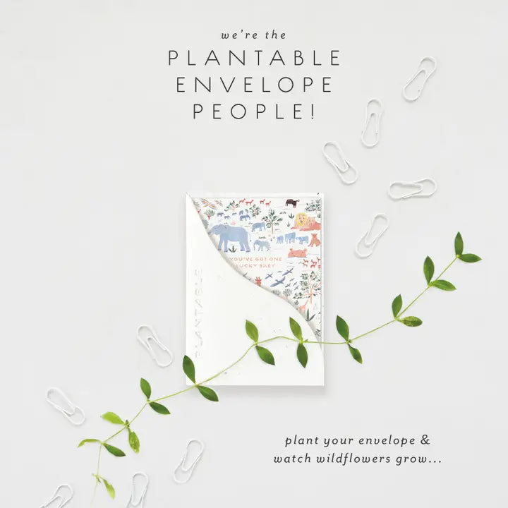 Lucky Baby Sprout Mini Greeting Card