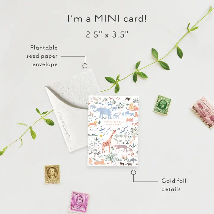 Lucky Baby Sprout Mini Greeting Card