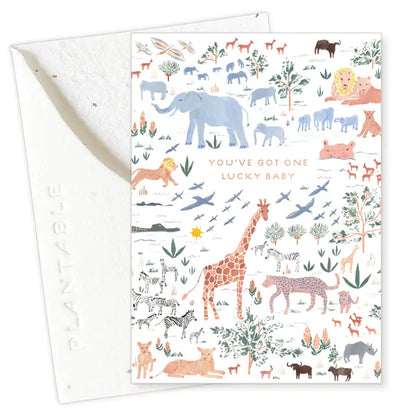 Lucky Baby Sprout Mini Greeting Card