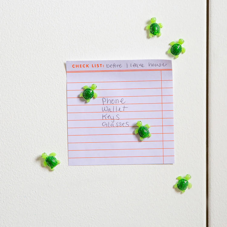 Baby Turtle Magnet Set