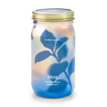 Garden Jars - Hydroponic Herb Growing Kit