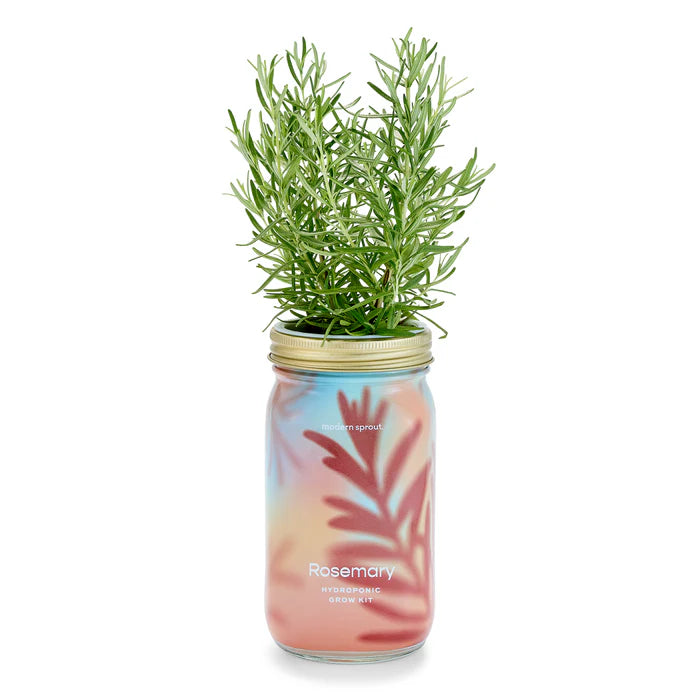 Garden Jars - Hydroponic Herb Growing Kit