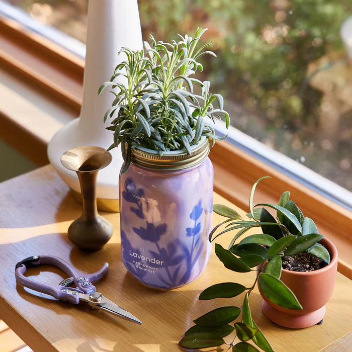 Garden Jars - Hydroponic Herb Growing Kit