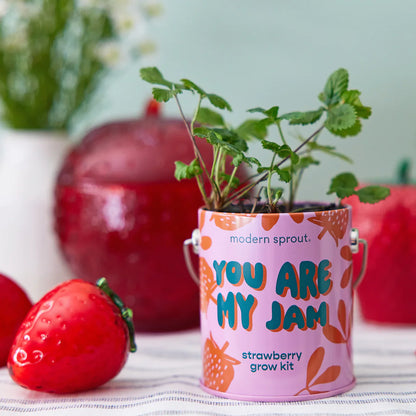 Complimentary Colours Grow Kit