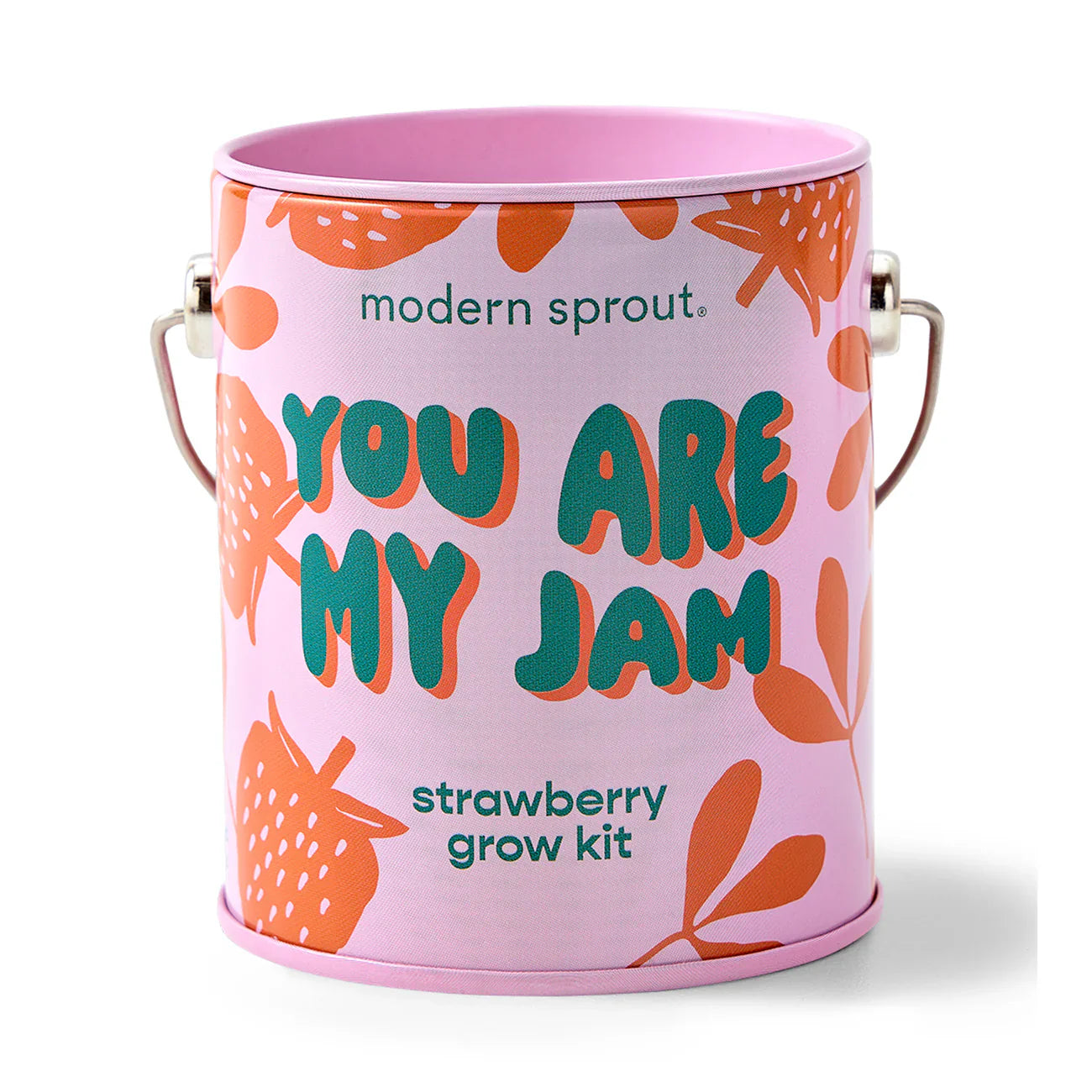 Complimentary Colours Grow Kit