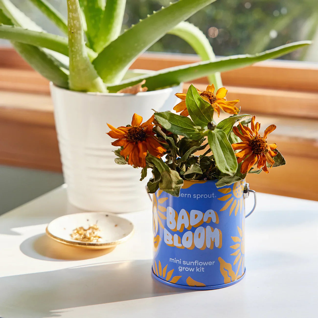 Complimentary Colours Grow Kit