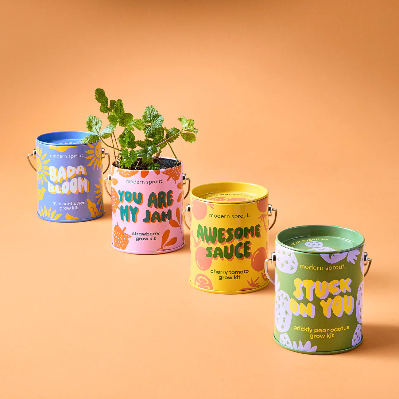Complimentary Colours Grow Kit