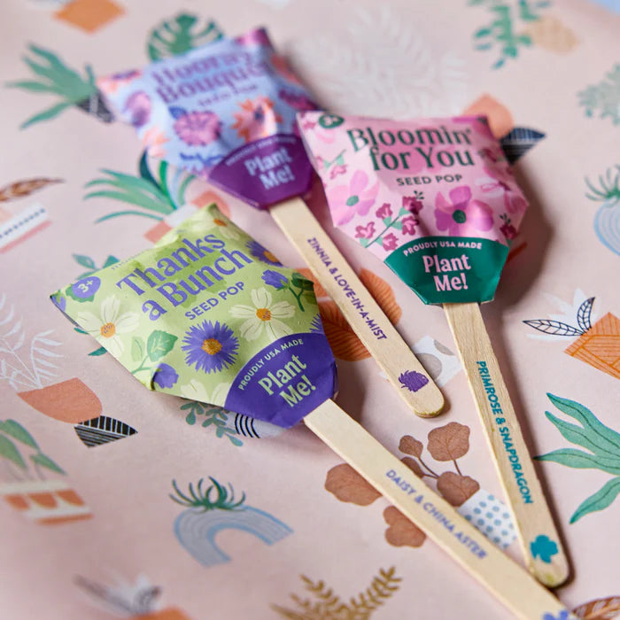 Seed Pops - Plantable Celebration Gift