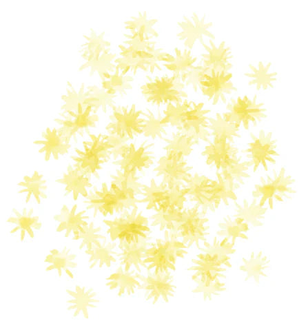 Shupatto Compact Reusable Bag Small Hana