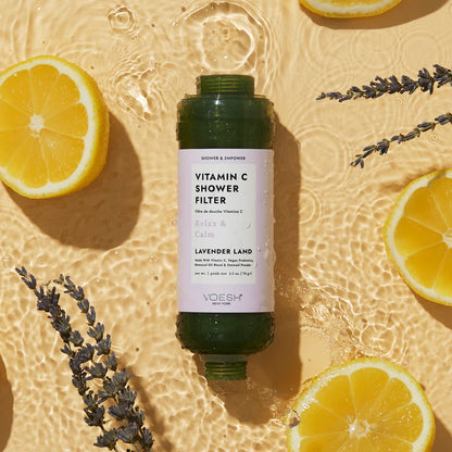 Vitamin C Shower Filter