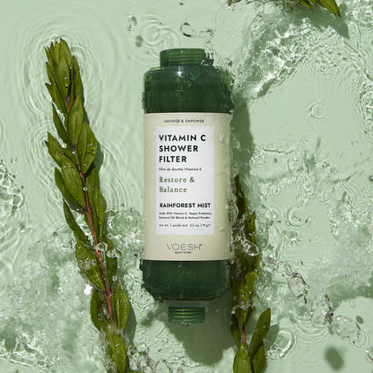 Vitamin C Shower Filter