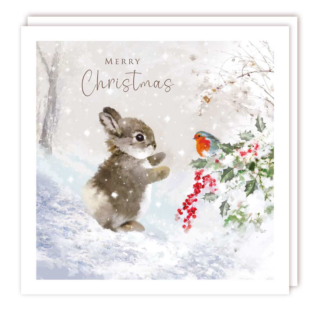 Bunny and Bird Christmas Cards Cello Pack