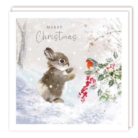 Bunny and Bird Christmas Cards Cello Pack