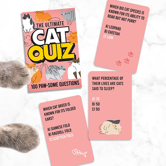 Cat Quiz Pet Game