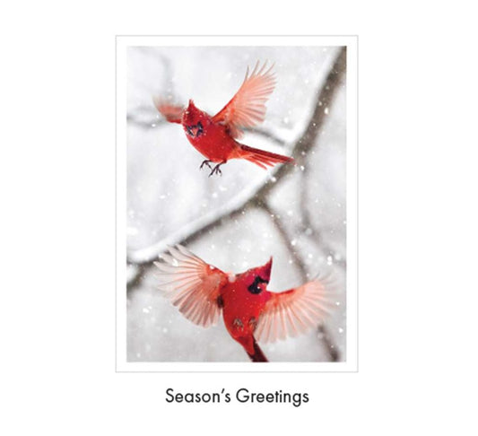 Pair of Red Cardinals Boxed Christmas Cards