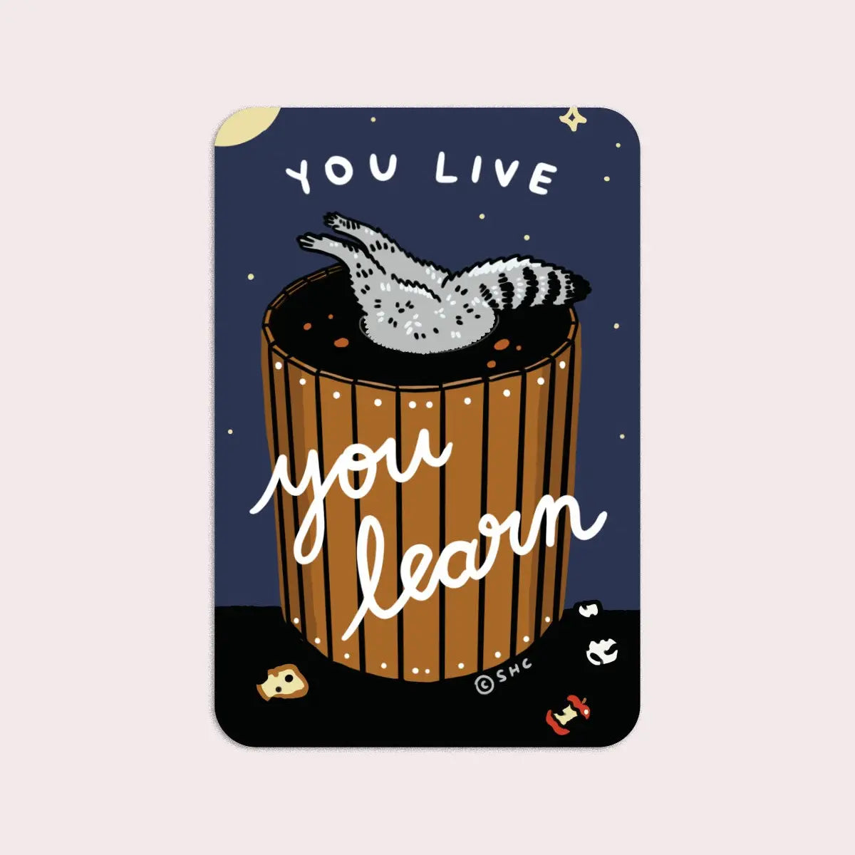 S90  You Live You Learn Vinyl Sticker