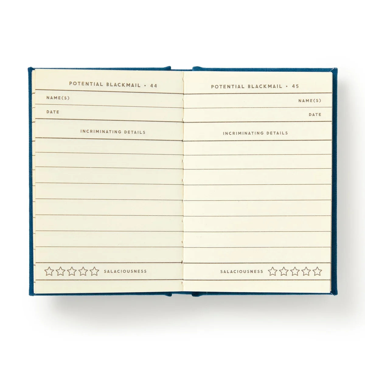 Future Blackmail Tiny Diary